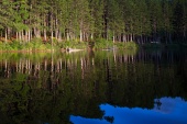 DPP_0780.JPG